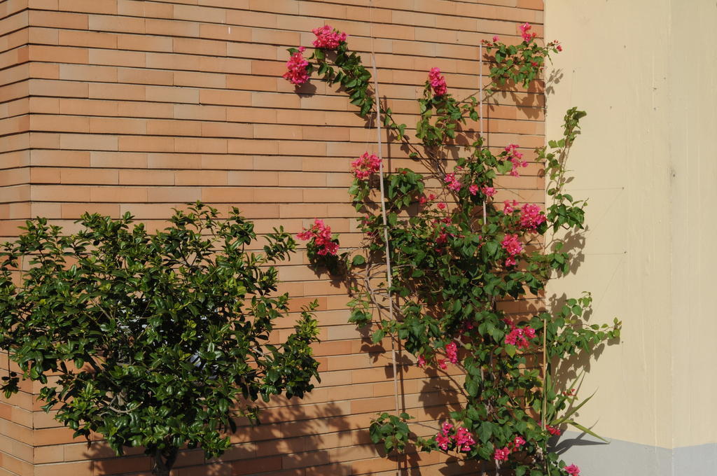 Marinetta Bed & Breakfast Signa Εξωτερικό φωτογραφία